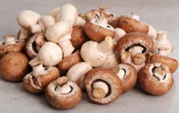 mushrooms mushrooms
