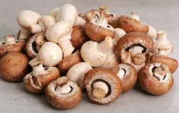 mushrooms mushrooms