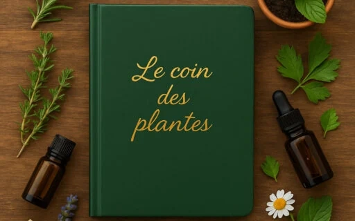 Carnet vert avec l’inscription dorée Le coin des plantes, entouré d’herbes fraîches, de fleurs médicinales et de flacons d’huiles essentielles sur une table en bois.
